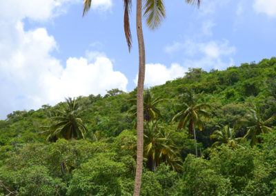 Cayo Frio Las Galeras - Diario di viaggio a Santo Domingo