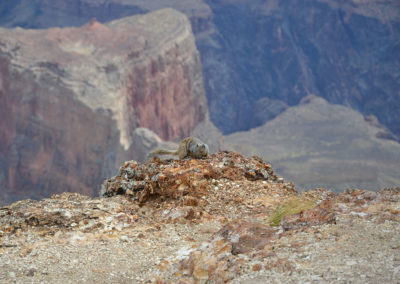 Grand Canyon - Diario di viaggio in USA