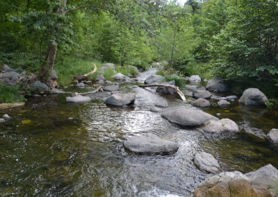 Oak Creek -Sedona - Diario di viaggio in Usa