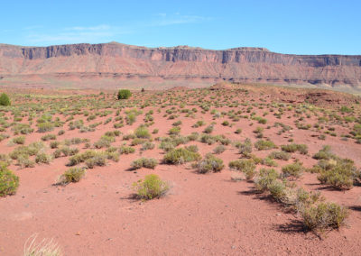 -Sulla strada Moab Goblin Valley - Diario di viaggio in USA