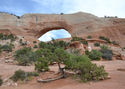 Wilson Arch Moab - Diario di viaggio in USA