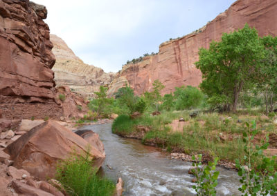 Capitol Reef national Park - Diario di viaggio in USA
