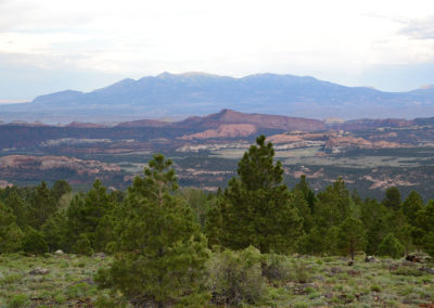 Homestead Overlook Dixie National Forest - Diario di viaggio in USA