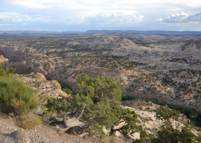 Calf Creek Viewpoint Dixie National Forest - Diario di viaggio in USA