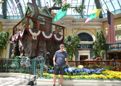 Bellagio Luxury Resort & Casino -Las Vegas Diario di viaggio in Usa