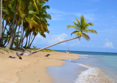 Playa Bonita Las Terrenas - Diario di viaggio a Santo Domingo