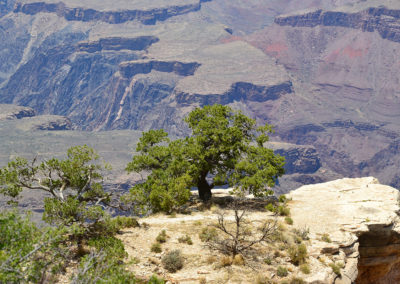 Grand Canyon - Diario di viaggio in USA