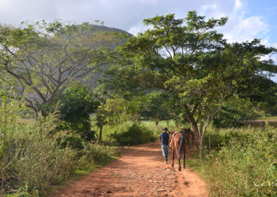 -Escursione a cavallo, Vinales - Diario di viaggio a Cuba