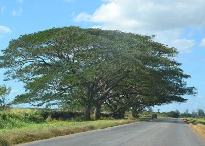 Strada Santa Clara Varadero - Diario di viaggio a Cuba