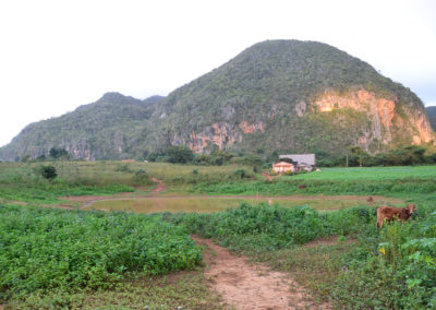 mogotes,Vinales - Diario di viaggio a Cuba