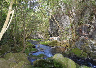 El Nicho, Parque Natural Topes de Collantes - Diario di viaggio a Cuba