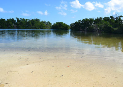 Mangrovie e laghetto Cayo Levisa Spiaggie a est di Cayo Levisa - Diario di viaggio a Cuba