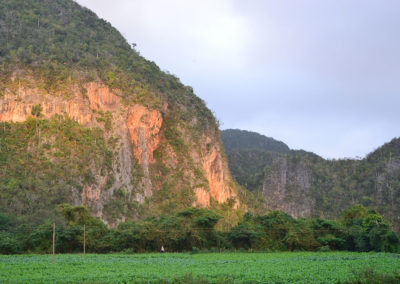 Mogotes, Vinales - Diario di viaggio a Cuba
