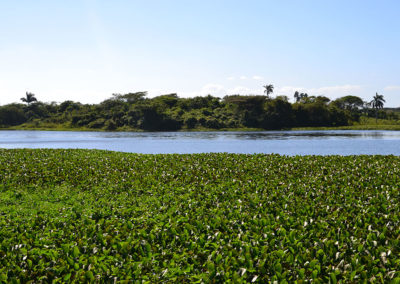 Parque Nacional Cienaga de Zapata - Diario di viaggio a Cuba