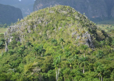 Panorama Ristorante Balcon del Valle, Vinales - Diario di viaggio a Cuba