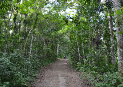 El Nicho, Parque Natural Topes de Collantes - Diario di viaggio a Cuba