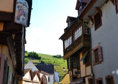 Scorci di Ribeauvillè su vigneti - Diario di viaggio in Alsazia
