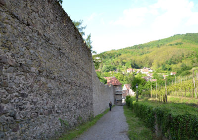Mura di cinta esterne, Ribeauvillè - Diario di viaggio in Alsazia