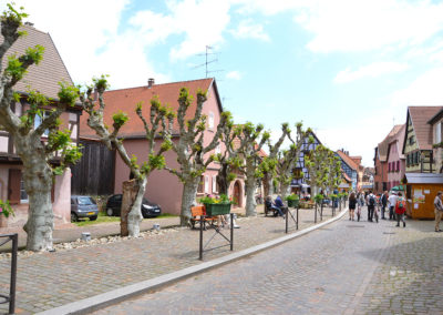 -Grand Rue, Bergheim - Diario di viaggio in Alsazia