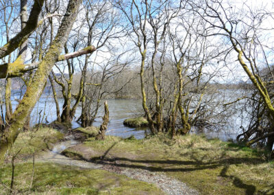-Alberi sul Loch Lomond, Luss - Diario di viaggio in Scozia