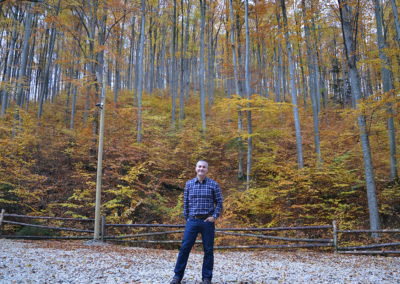 Foresta Transilvania - Diario di viaggio in Transilvania - Romania