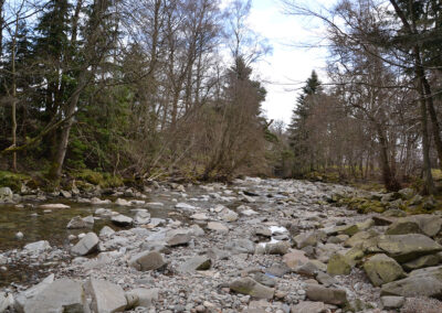Hercules Gardens, Atholl Blair Castle - Diario di viaggio in Scozia