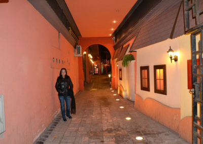 Ristorante Sirul Vamii, Brasov - Diario di viaggio in Transilvania - Romania