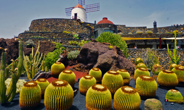 Diario di viaggio alle isole Canarie