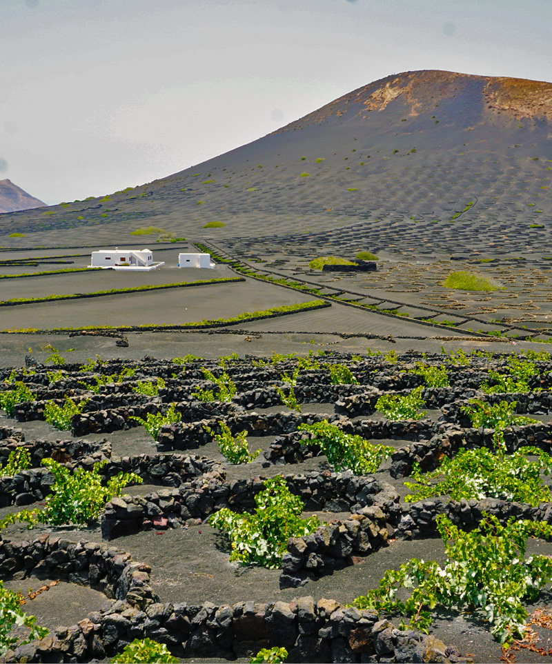 La-Geria,-Lanzarote