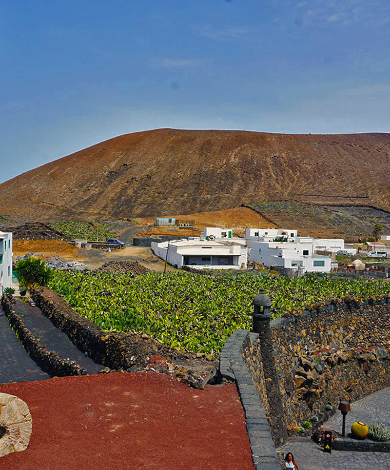 dintorni-Jardin-de-Cactus-con--piantagioni-di-fichi-d'india-e-vulcani-,Guatiza,-Lanzarote
