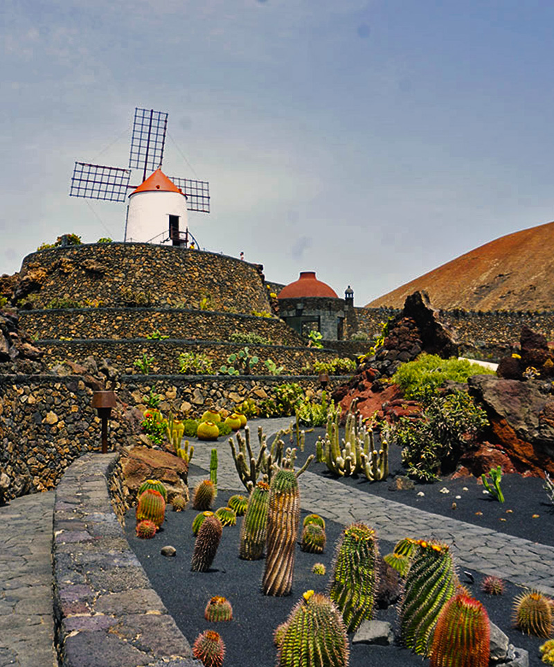 Jardin-de-Cactus,Guatiza,-Lanzarote