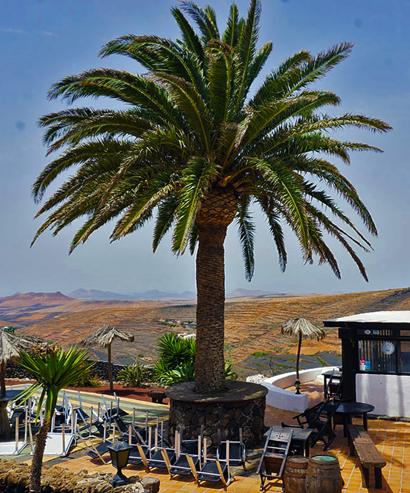 -prossimità-del-villaggio-di-Haria,-Lanzarote