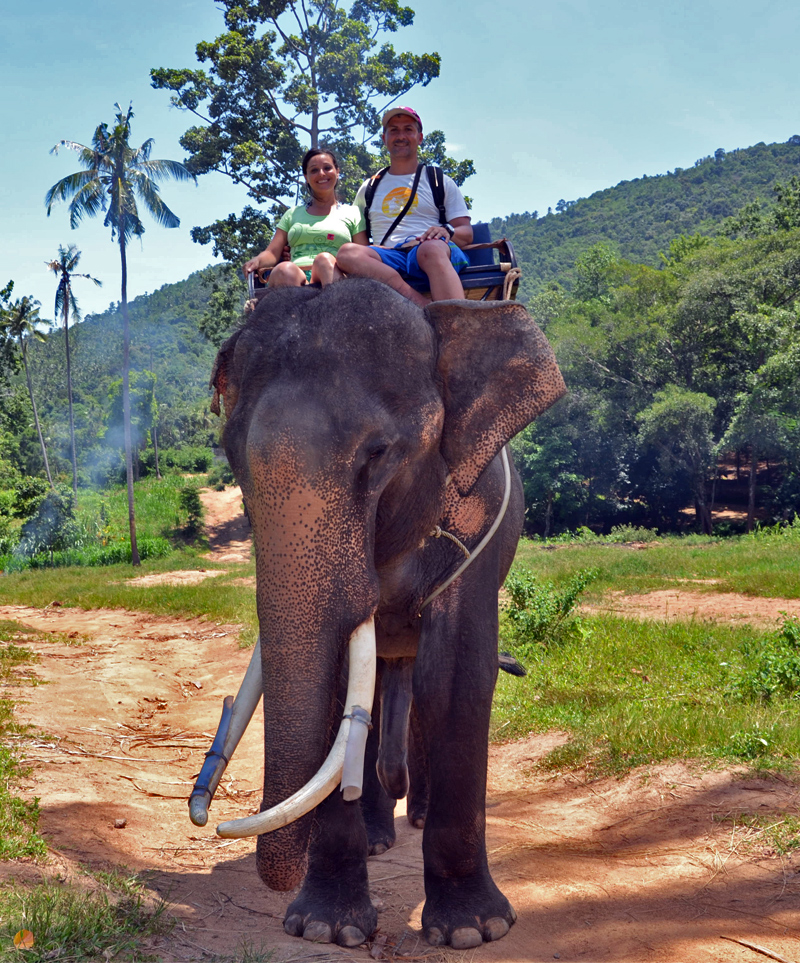 Giro-in-elefante-al-Safari-parkdi-Ko-Samui