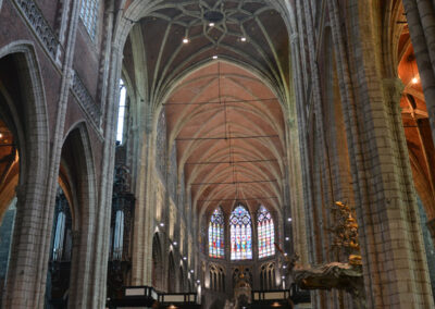 Cattedrale San Bavone, volta e vetrate,-Gent