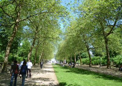 Parc de Bruxelles