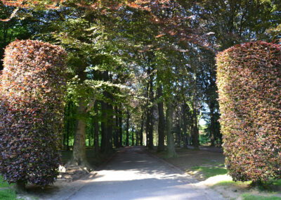 Parc de Laeken,-Bruxelles