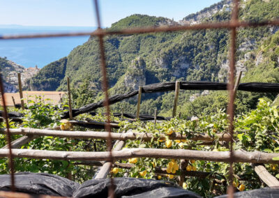 Limoni, valle delle Ferriere ed Amalfi, poi il mare