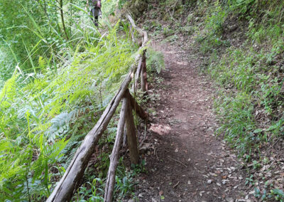 Il sentiero sterrato per la valle delle Ferriere