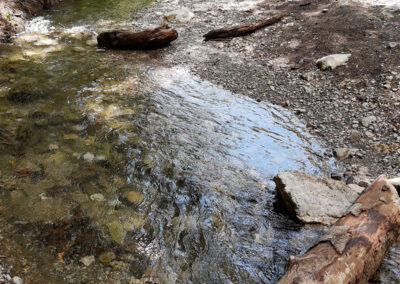 Il ruscello nella valle delle Ferriere