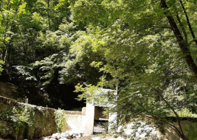 La Riserva Naturale Orientata