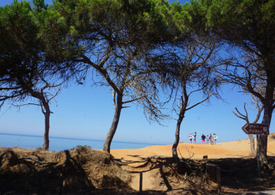 Praia da Falèsia, Albufeira