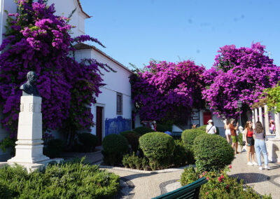Igraja de Santa Luzia, Lisbona