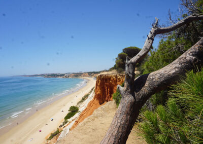 Praia da Falèsia, Albufeira