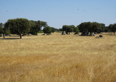 Siti megalitici Alentejo