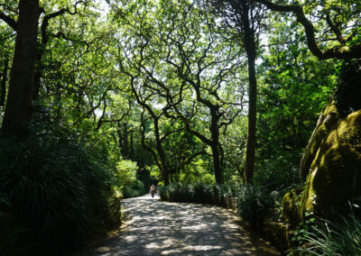 Parque da Pena, Sintra