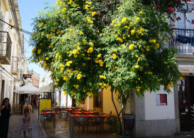 Rua A. Cabreira, Tavira