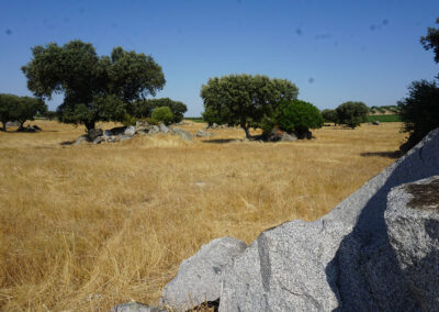 Siti megalitici Alentejo