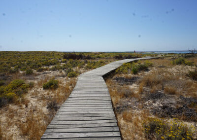 Ilha Deserta (Isola Deserta), Ria Formosa, Faro