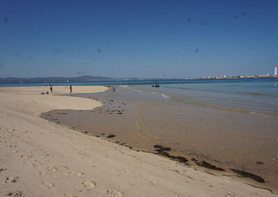 Ilha Deserta (Isola Deserta) con sfondo Ilha do Faro (Isola del Faro), Ilha da Culatra, Rio Formosa, Faro