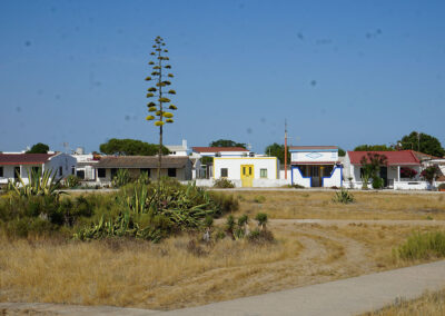 Ilha do Faro Rio Formosa, Faro